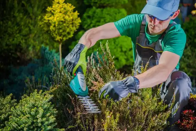 landscaping services Fairport
